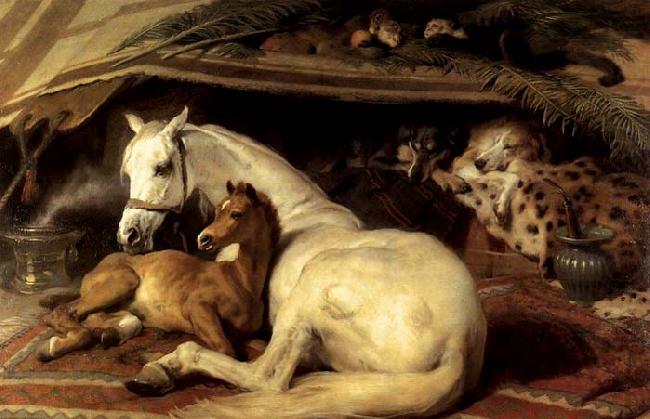 Sir Edwin Landseer The Arab Tent china oil painting image